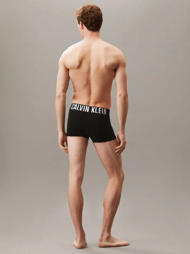 Calvin Klein Trunk 3PK Ανδρικά Μποξεράκια 000NB3608A