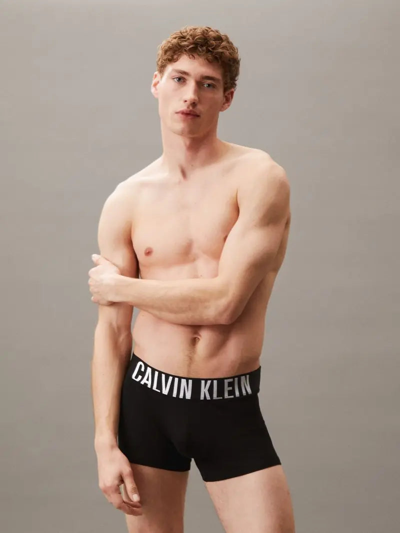 Calvin Klein Trunk 3PK Ανδρικά Μποξεράκια 000NB3608A