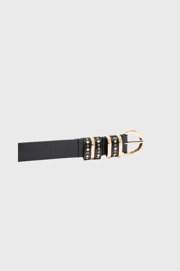 Pinko Cintura Passanti H3 Low 106426 A2QK