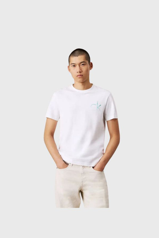 Calvin Klein Chest Logo T-Shirt K10K114146