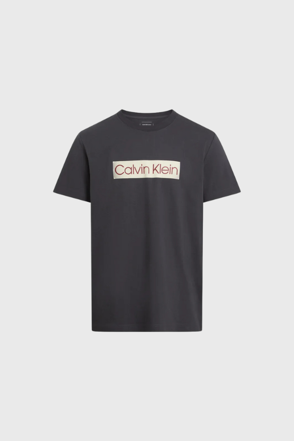Calvin Klein Jeans T-Shirt J30J327472
