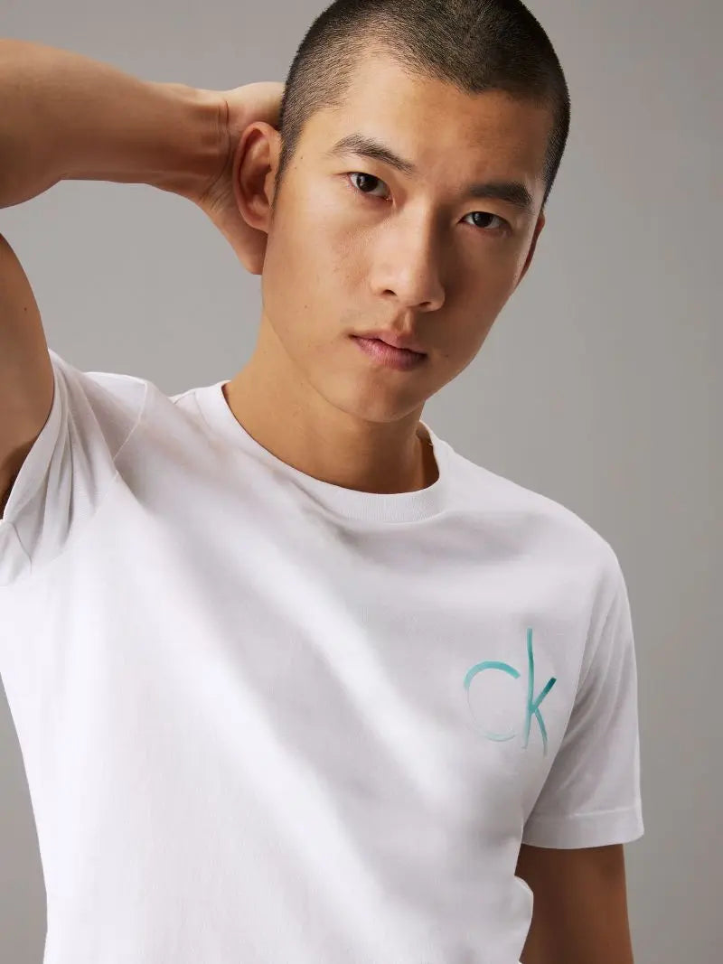 Calvin Klein Chest Logo T-Shirt K10K114146