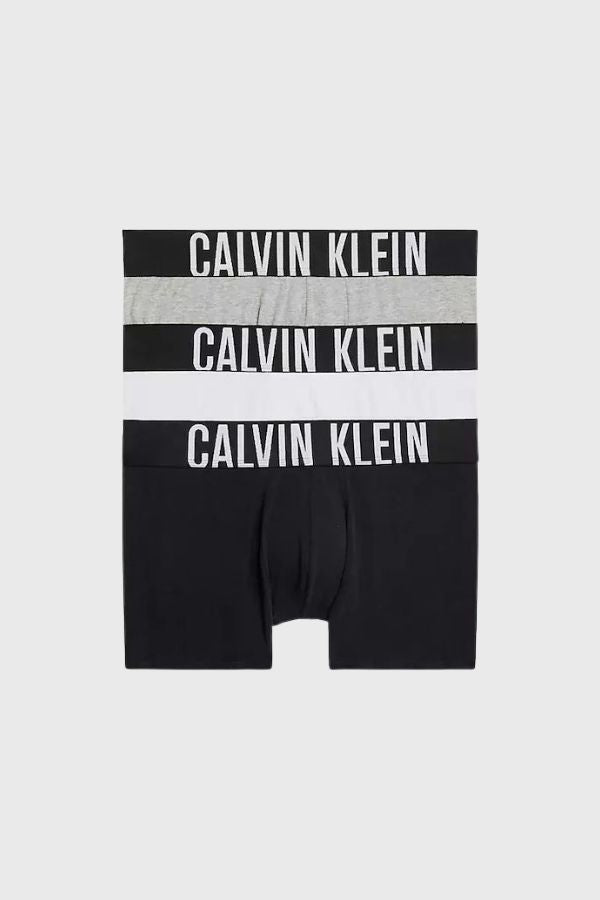 Calvin Klein Trunk 3PK 000NB3608A