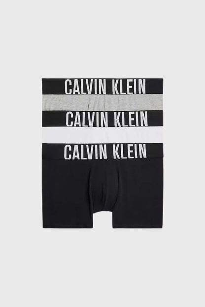 Calvin Klein Trunk 3PK 000NB3608A