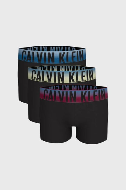 Calvin Klein Trunk 3PK LV00NB4621