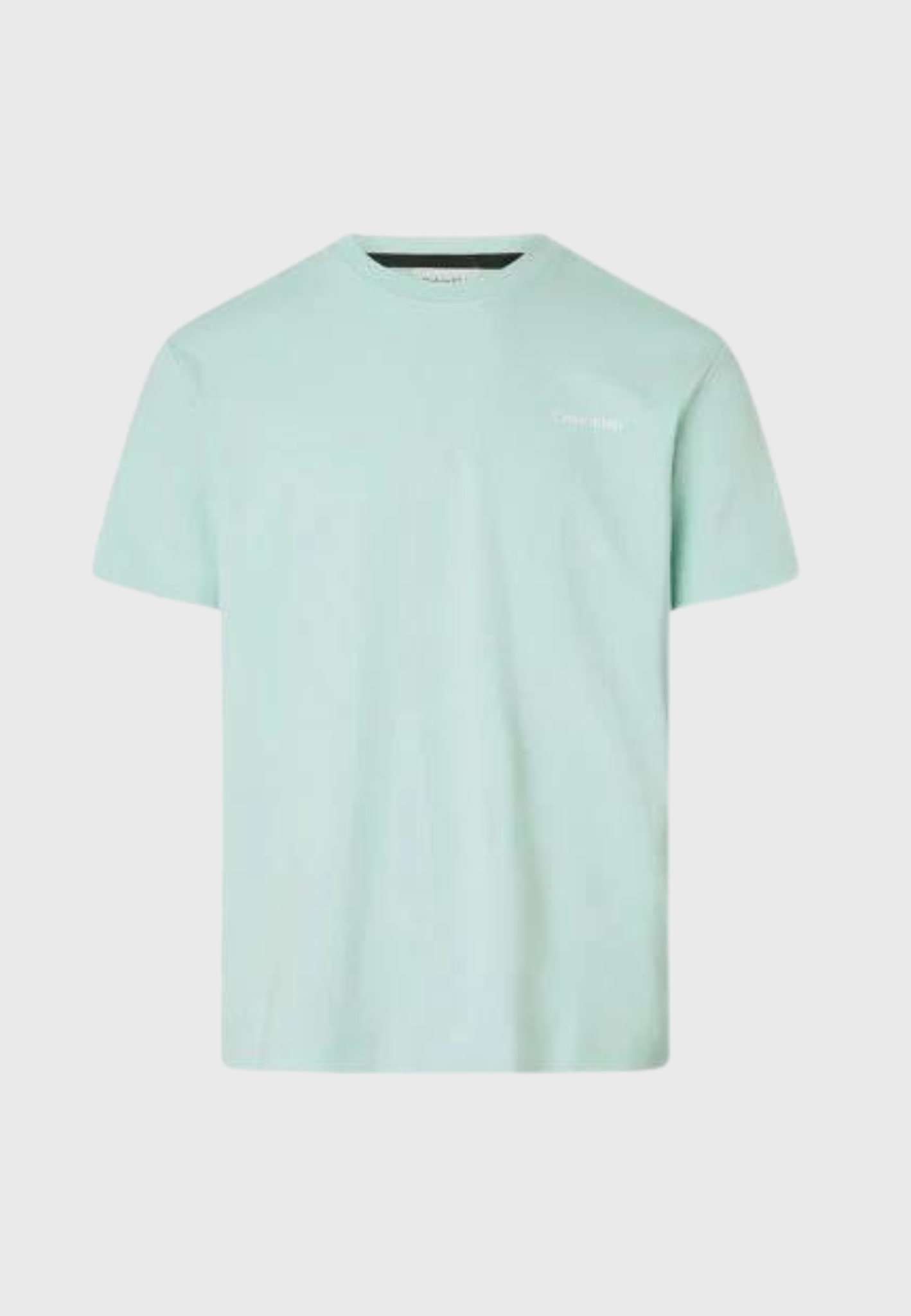 Calvin Klein Micro Logo Interlock T-Shirt K10K109894-CO4