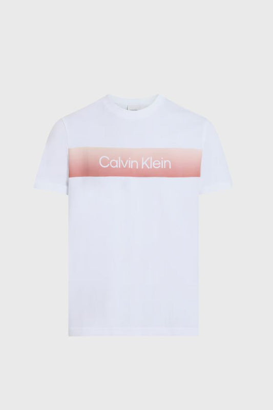 Calvin Klein T-Shirt K10K114163