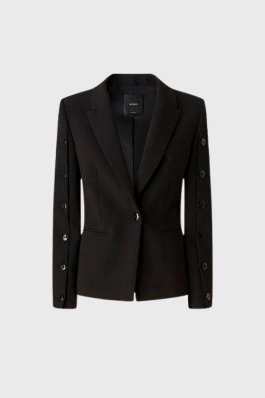 Pinko Blazer 105679A2R9