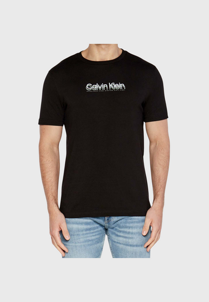 Calvin Klein Flock Logo T-shirt K10K113118