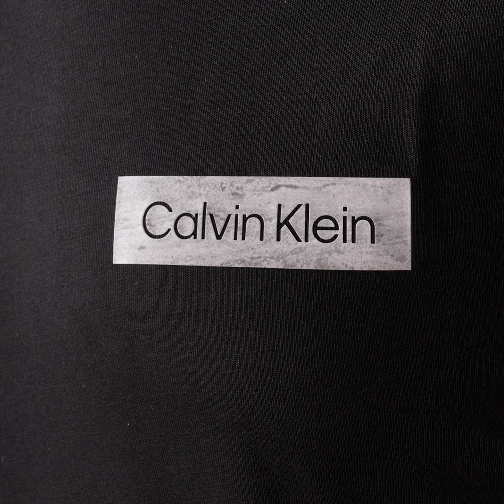 Calvin Klein Raised Concrete Logo Ls T-Shirt K10K113593